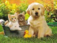 /album/fotogaleria/a5277fd7835-49427769-o2-jpg/